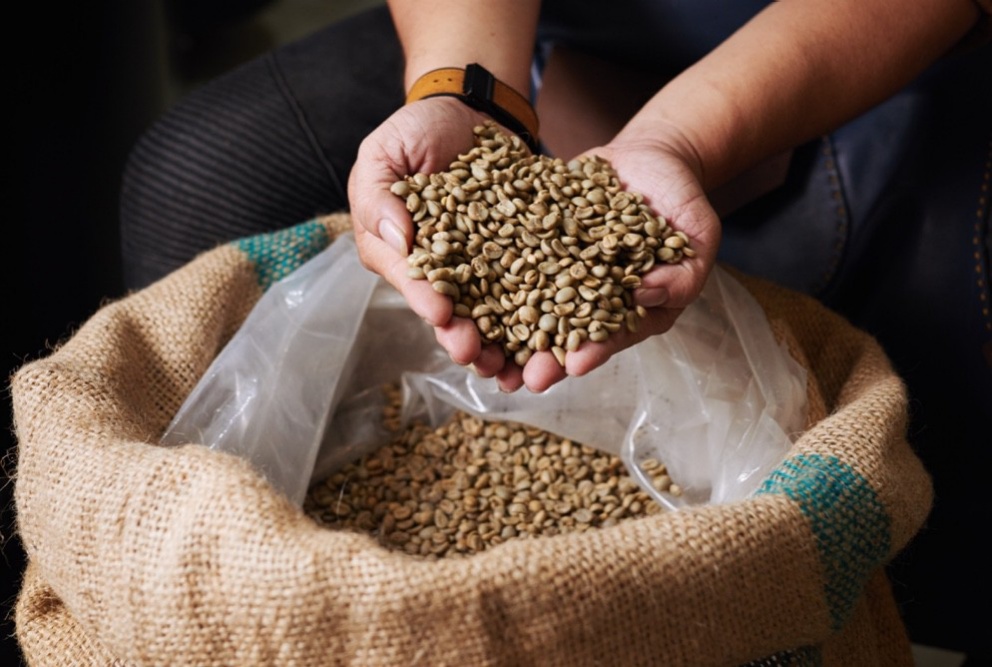 quality of bean